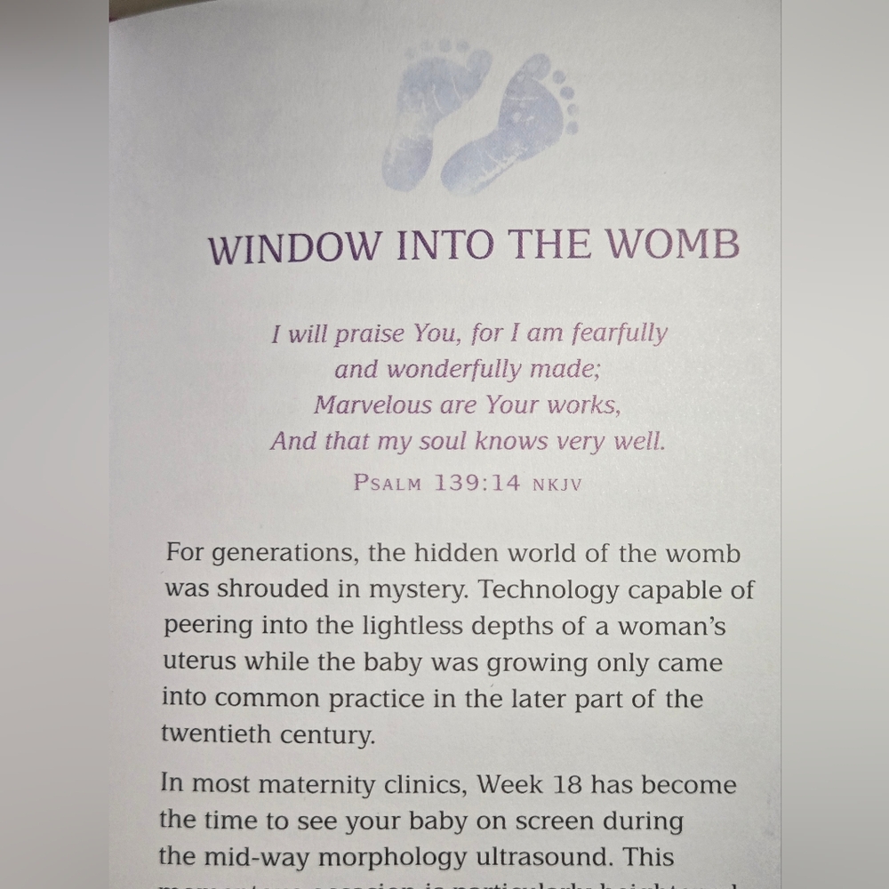I Love You Already 40 Weekly Devotions For Expectant Mother - Picture 6 of 8